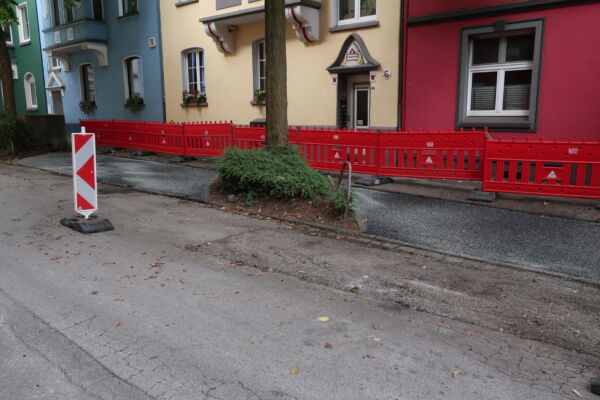 Das Foto zeigt die neu asphaltierten Parkbuchten in der Schornstrasse - der Asphalt geht bis an den Rand der alten, viel zu kleinen Baumscheiben.