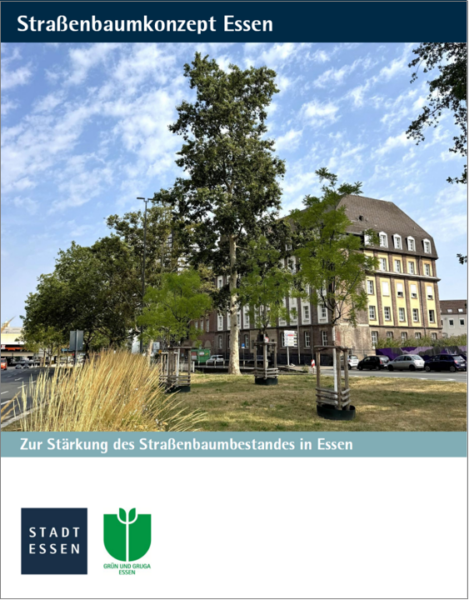 Titelblatt der Broschüre der Stadt Essen zum Straßenbaumkonzept 2026
