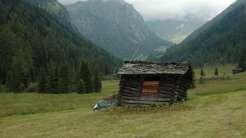Das Fot zeigt eine windschiefe Holzhütte in den Alpen im Juli 2008
