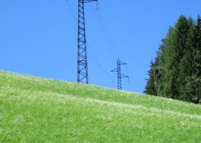 Das Foto zeigt zwei kleinere Strommaste oberhalb einer grünen Wiese am Jaufensteg im Ratschingstal (Südtirol) im August 2013