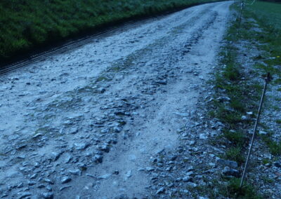 Das Foto zeigt eine alte Grobschotter-Wegebefestigung zwischen Windrather Bach und Dahl. Fotografiert im April 2023