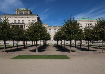 Das Foto zeigt die mit Baumreihen bestückte Fläche vor der Rückfront der Villa Hügel in Essen
