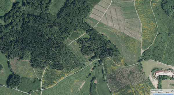 Das Luftbild von 2015 zeigt einige Neuanpflanzungen, vorwiegend Weihnachtsbaumplantagen, und Bereiche, die sich selbst überlassen bliebe, wo jetzt Birken aufwachsen