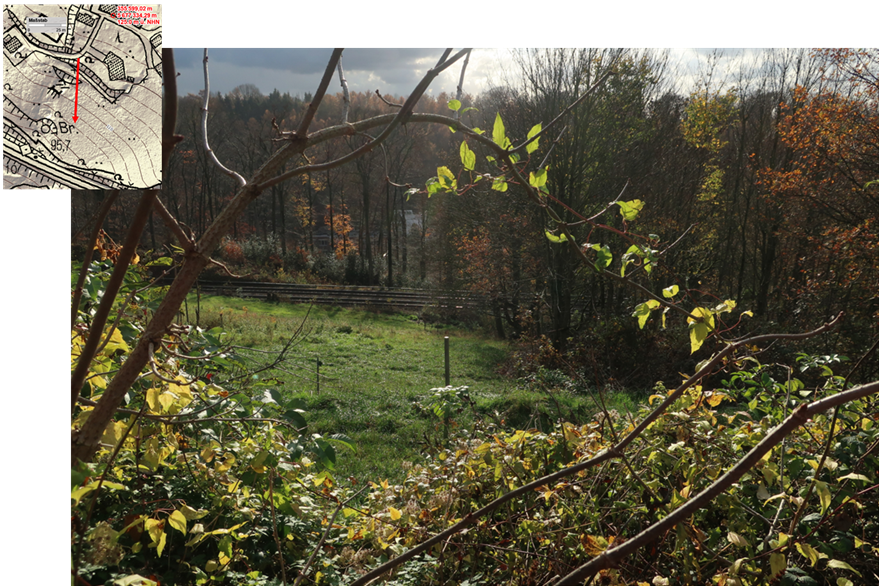 Südlich Steinkaul, Blick über ein Wiesengelände oberhalb der 1879 eröffneten Bahn nach Süden. Rechts im (jüngeren) Gehölz entstand ein Gewässer in einem kleinen ehemaligen Steinbruch